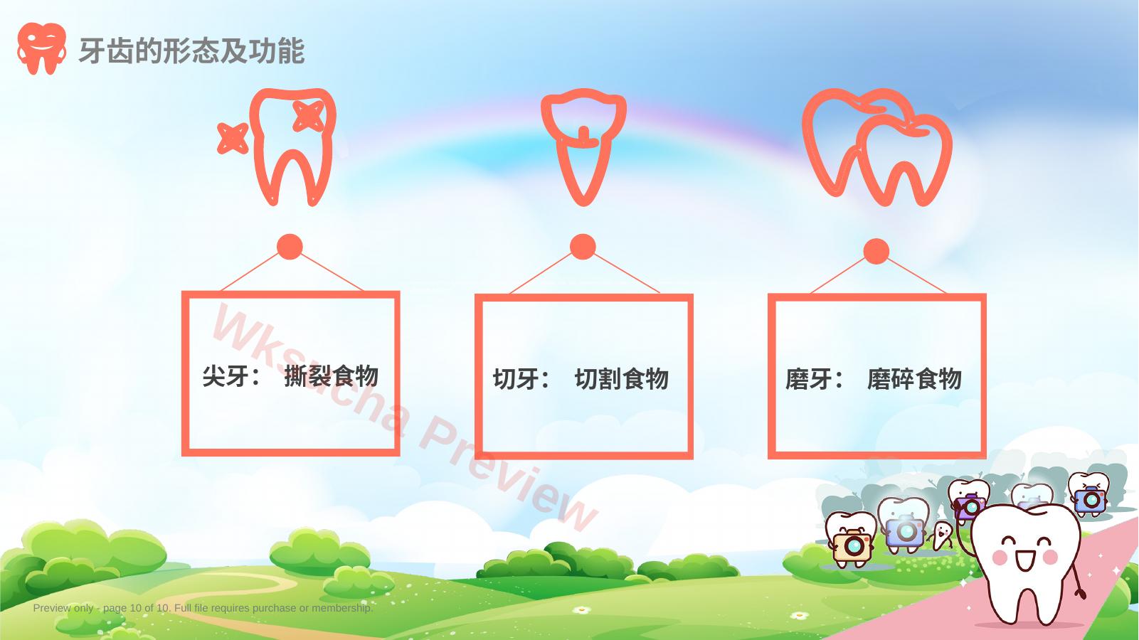 预览第 10 页