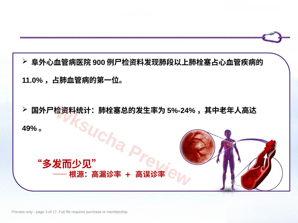 预览第 3 页