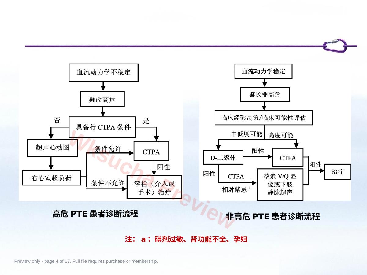 预览第 4 页