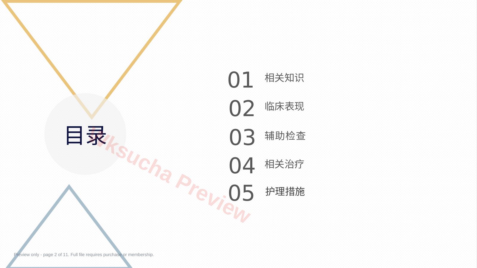 预览第 2 页