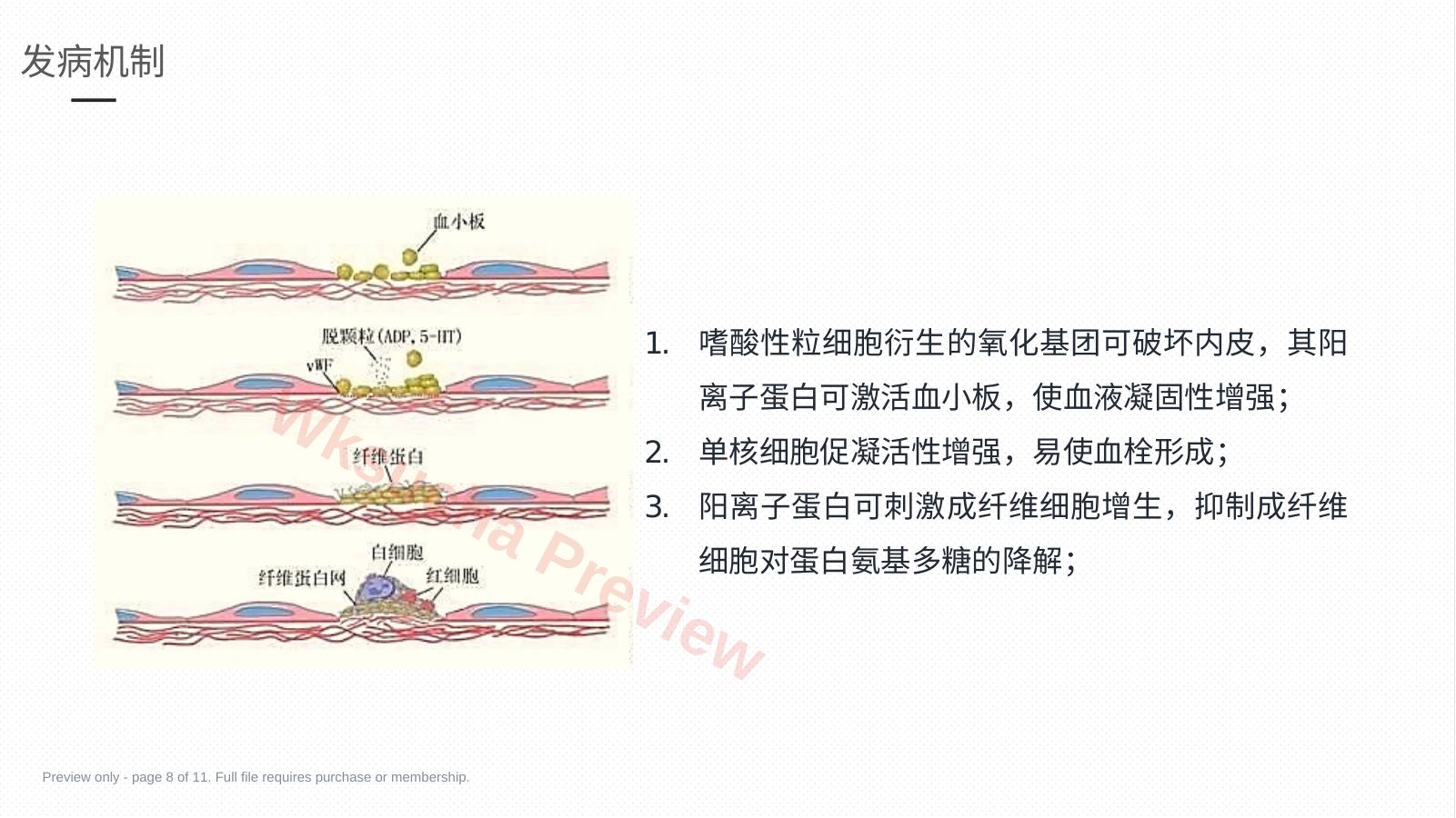 预览第 8 页