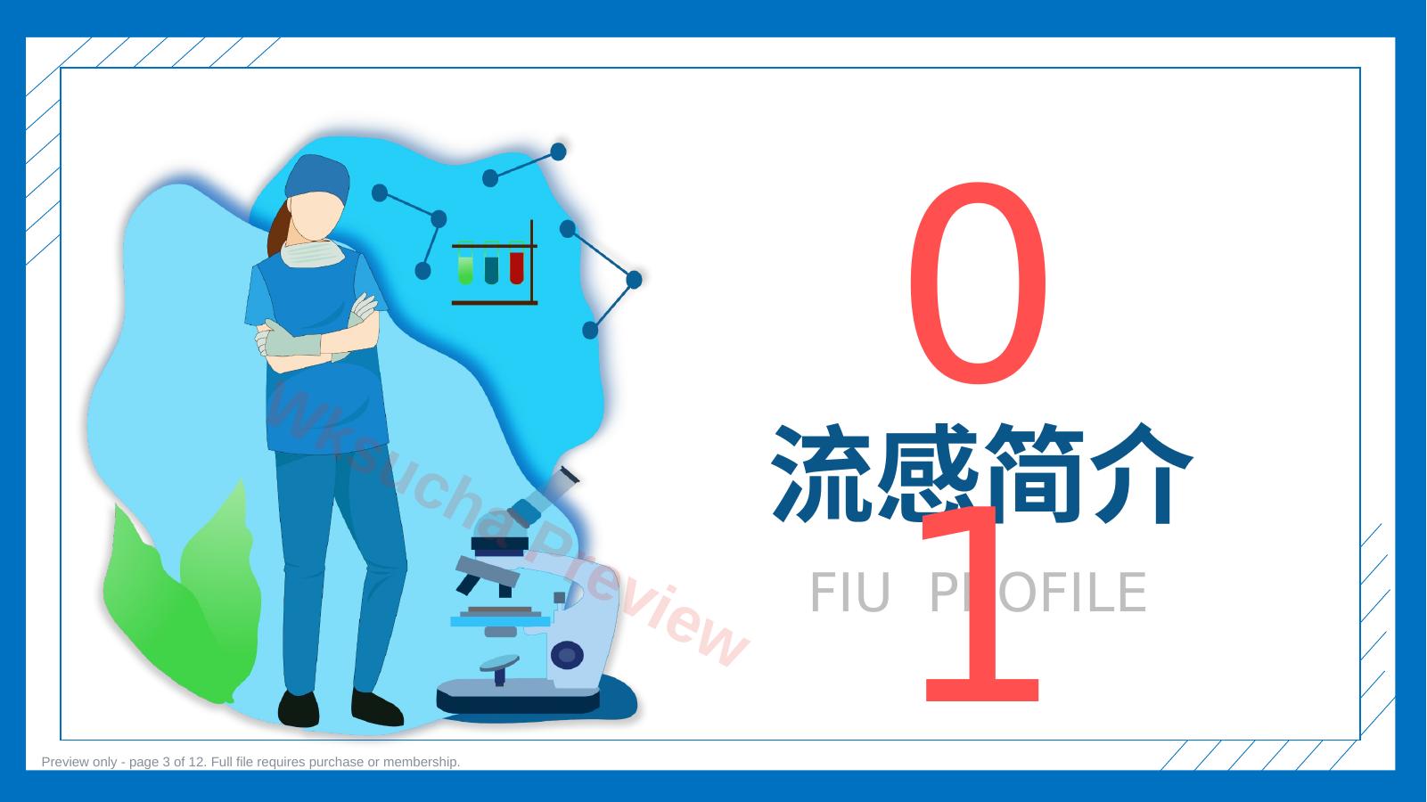 预览第 3 页