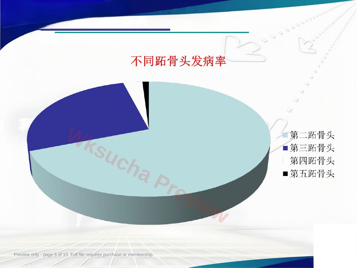 预览第 5 页