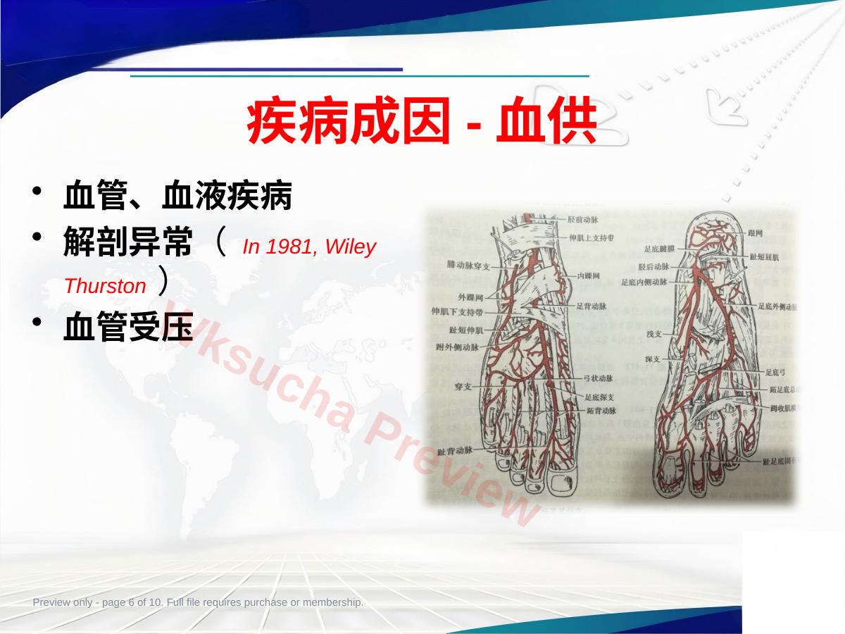 预览第 6 页