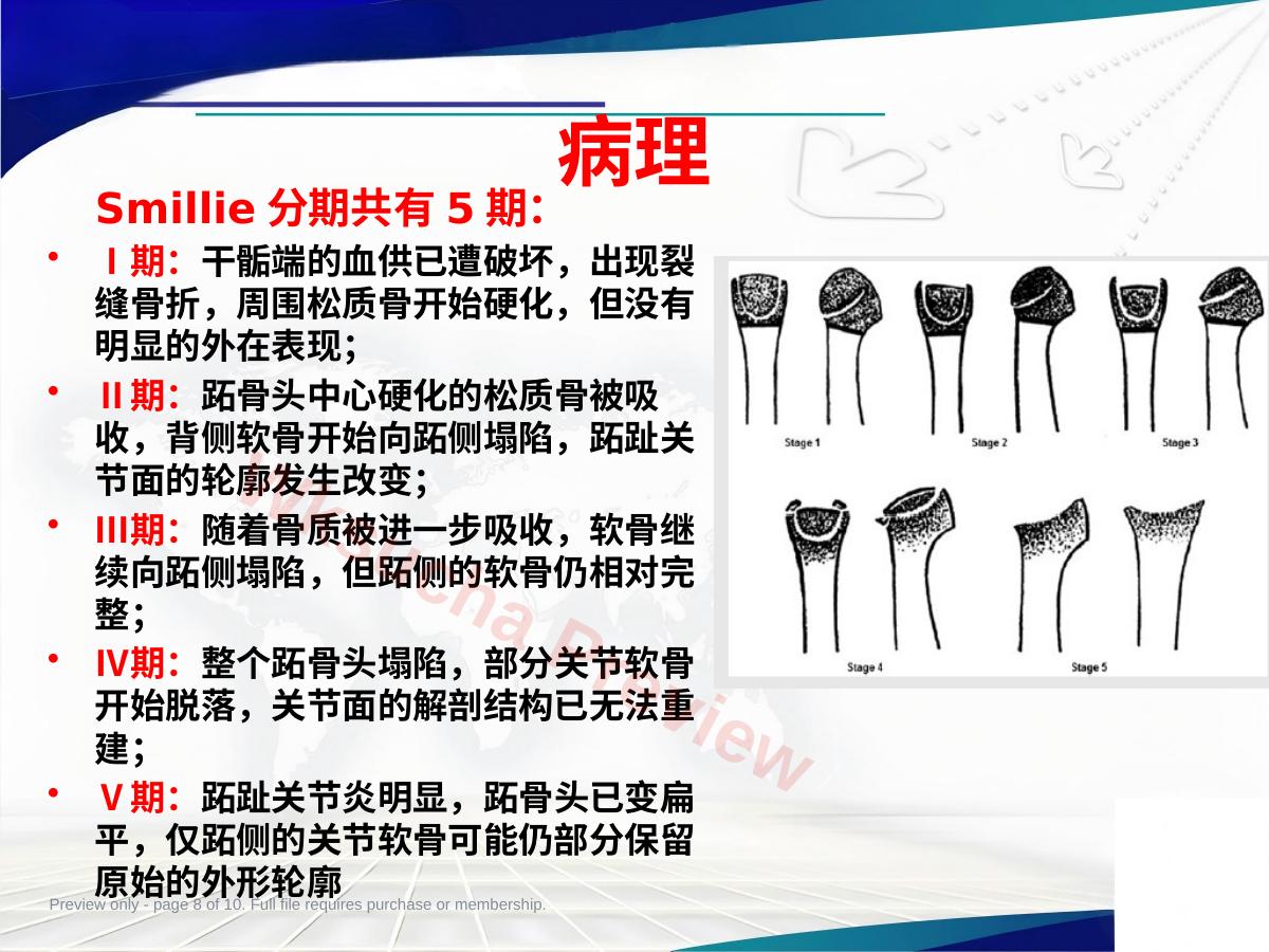 预览第 8 页