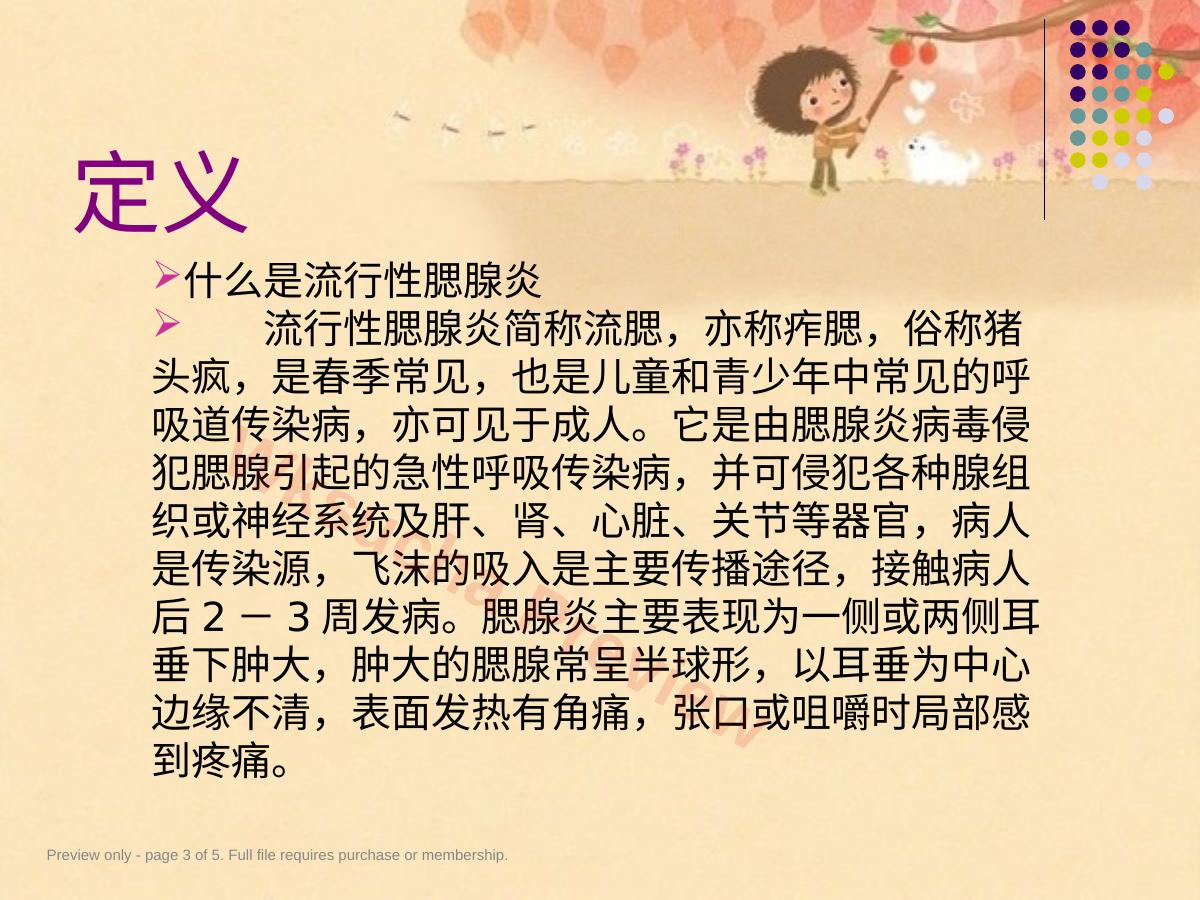 预览第 3 页