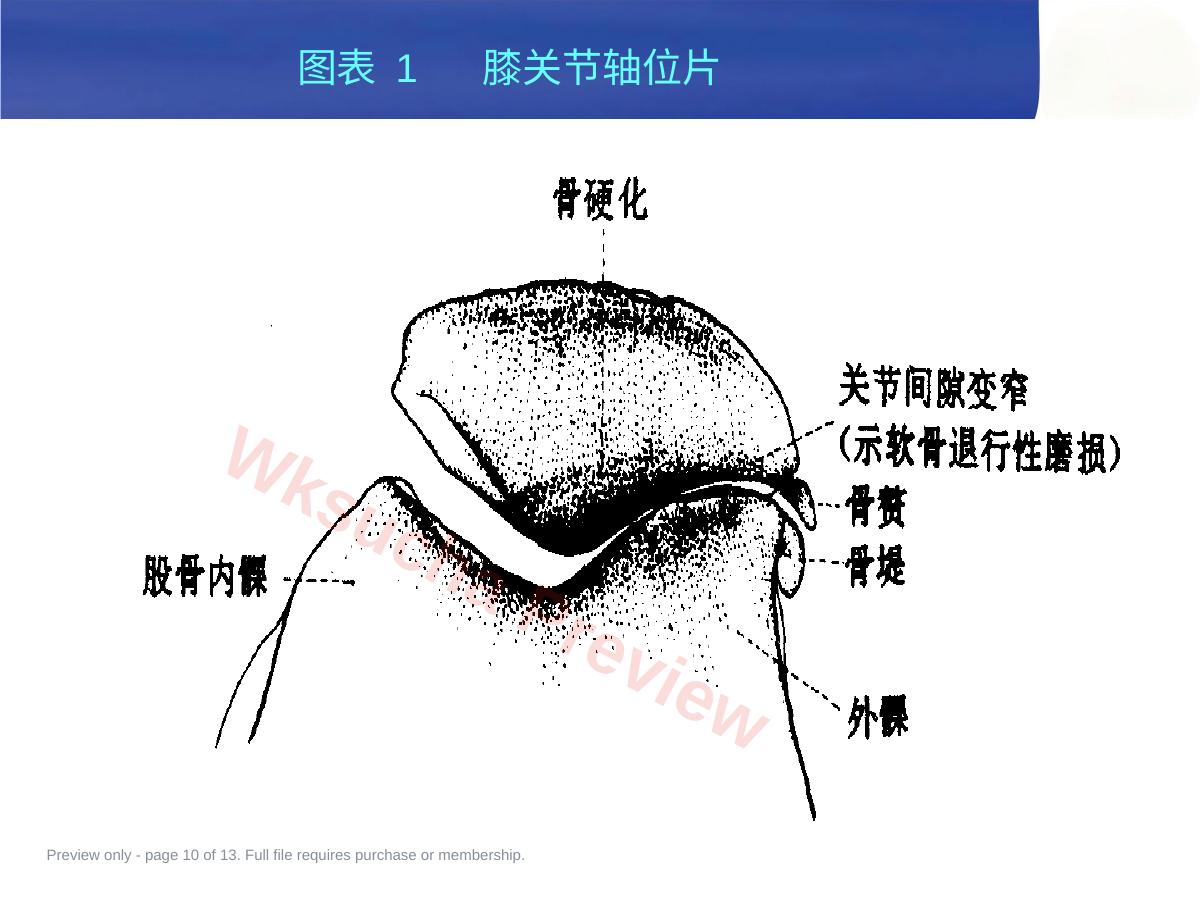 预览第 10 页