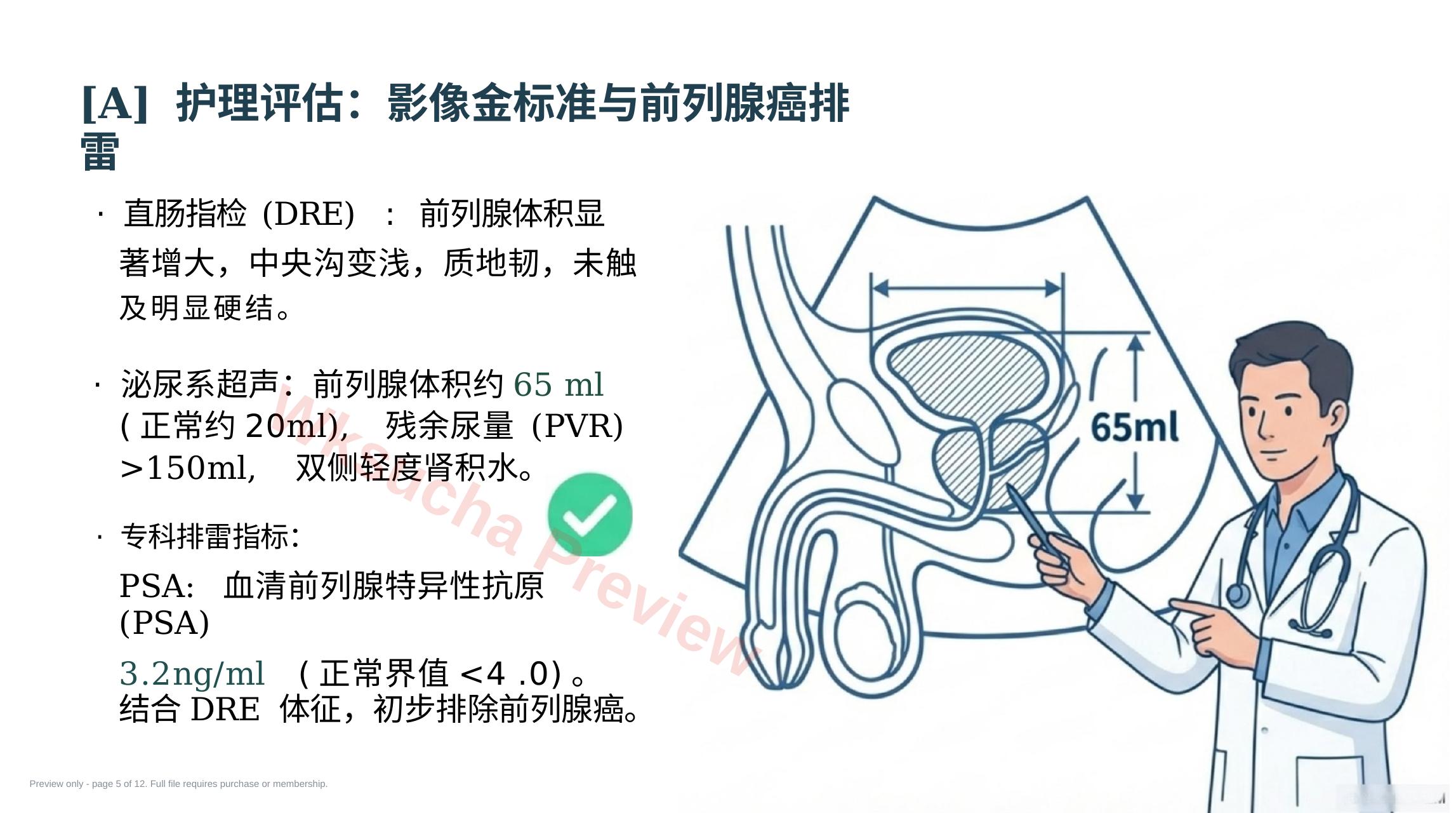 预览第 5 页