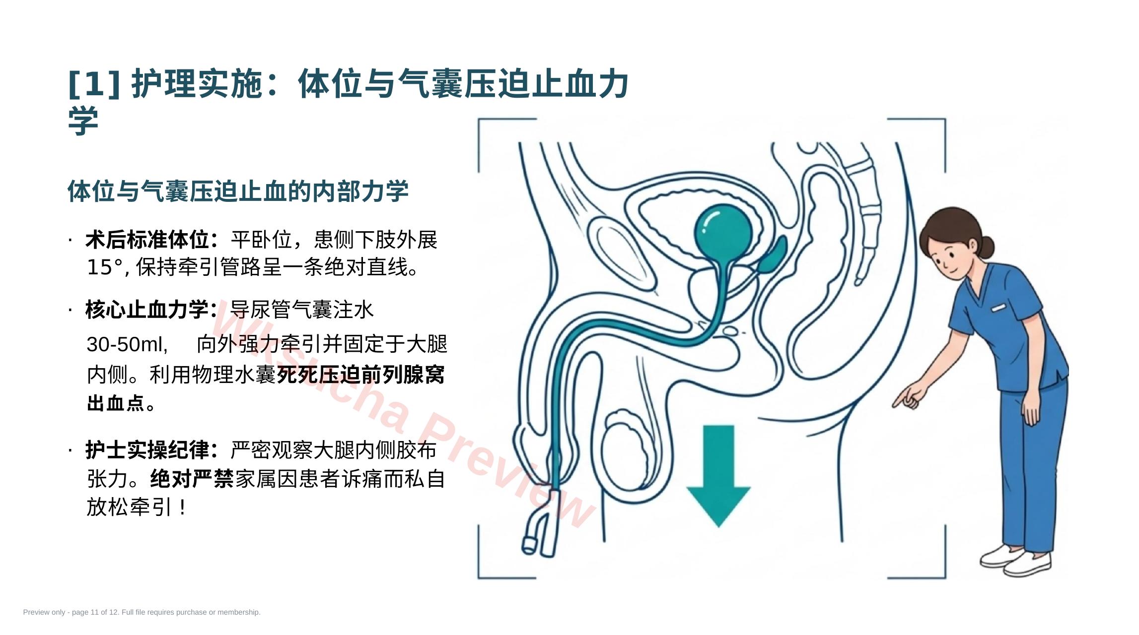 预览第 11 页