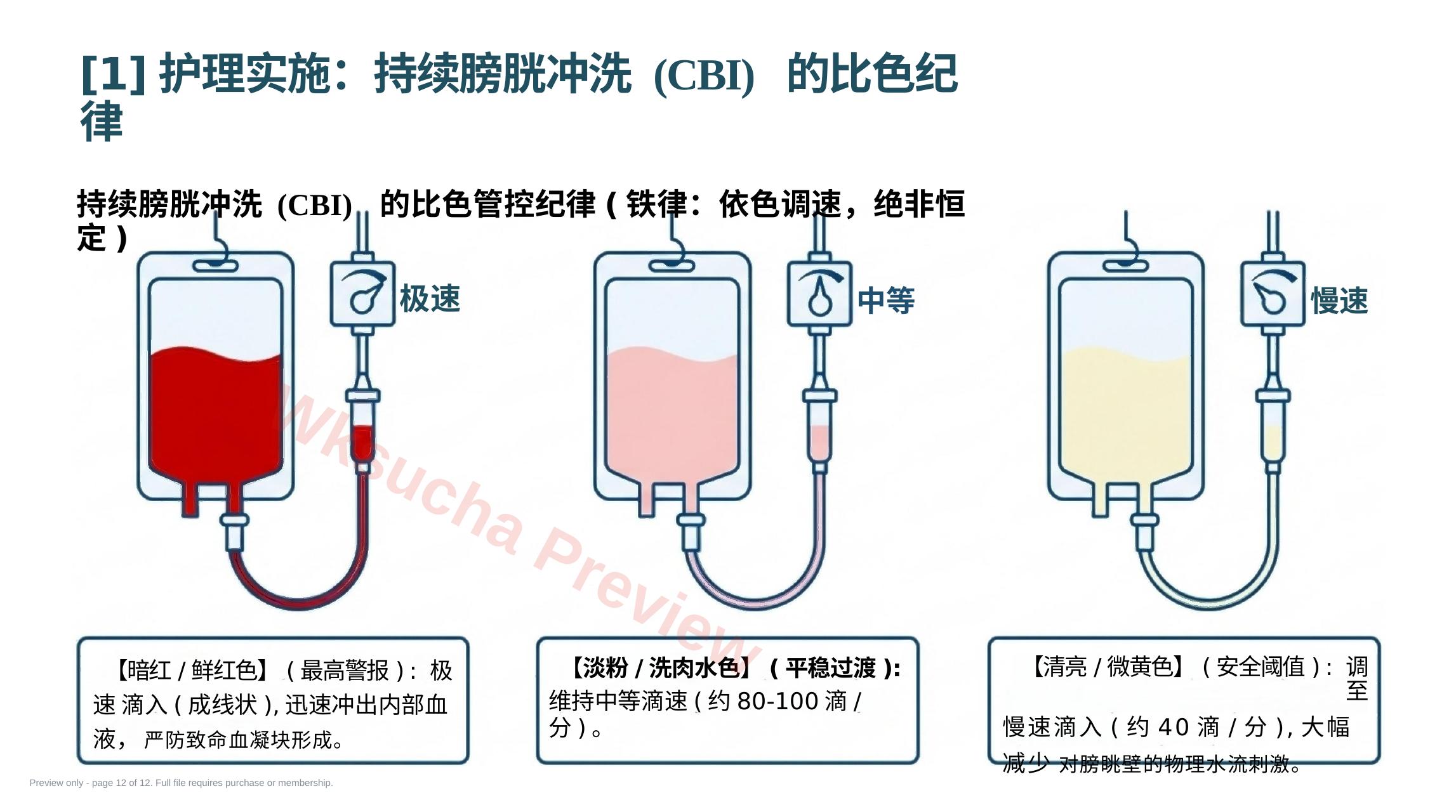 预览第 12 页