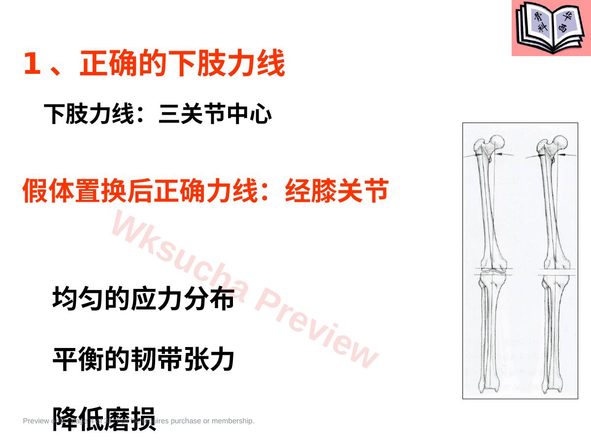 预览第 4 页