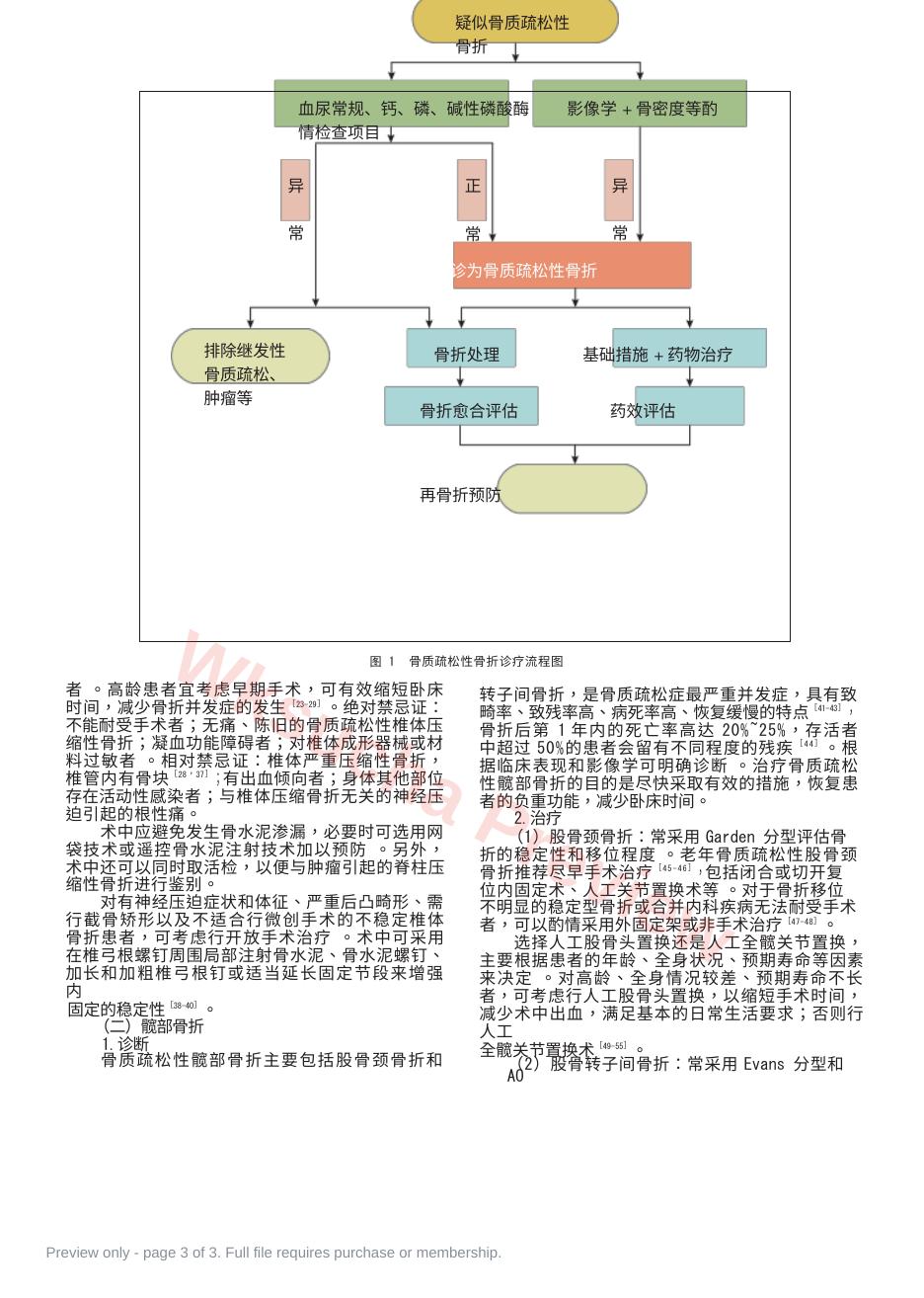 预览第 3 页
