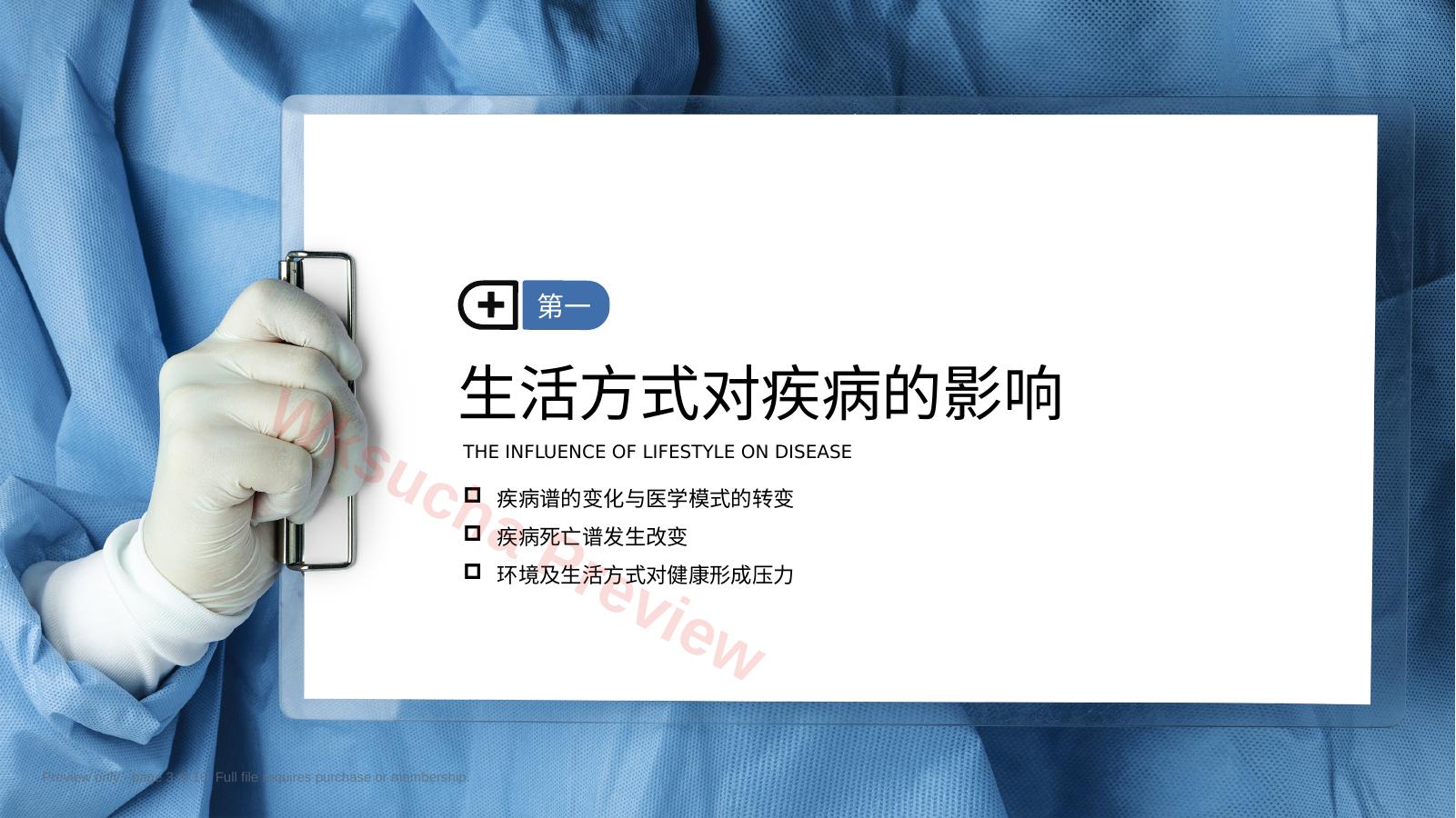 预览第 3 页