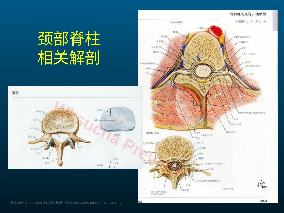 预览第 4 页