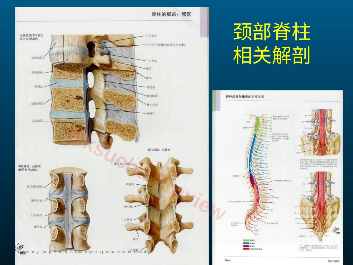 预览第 5 页