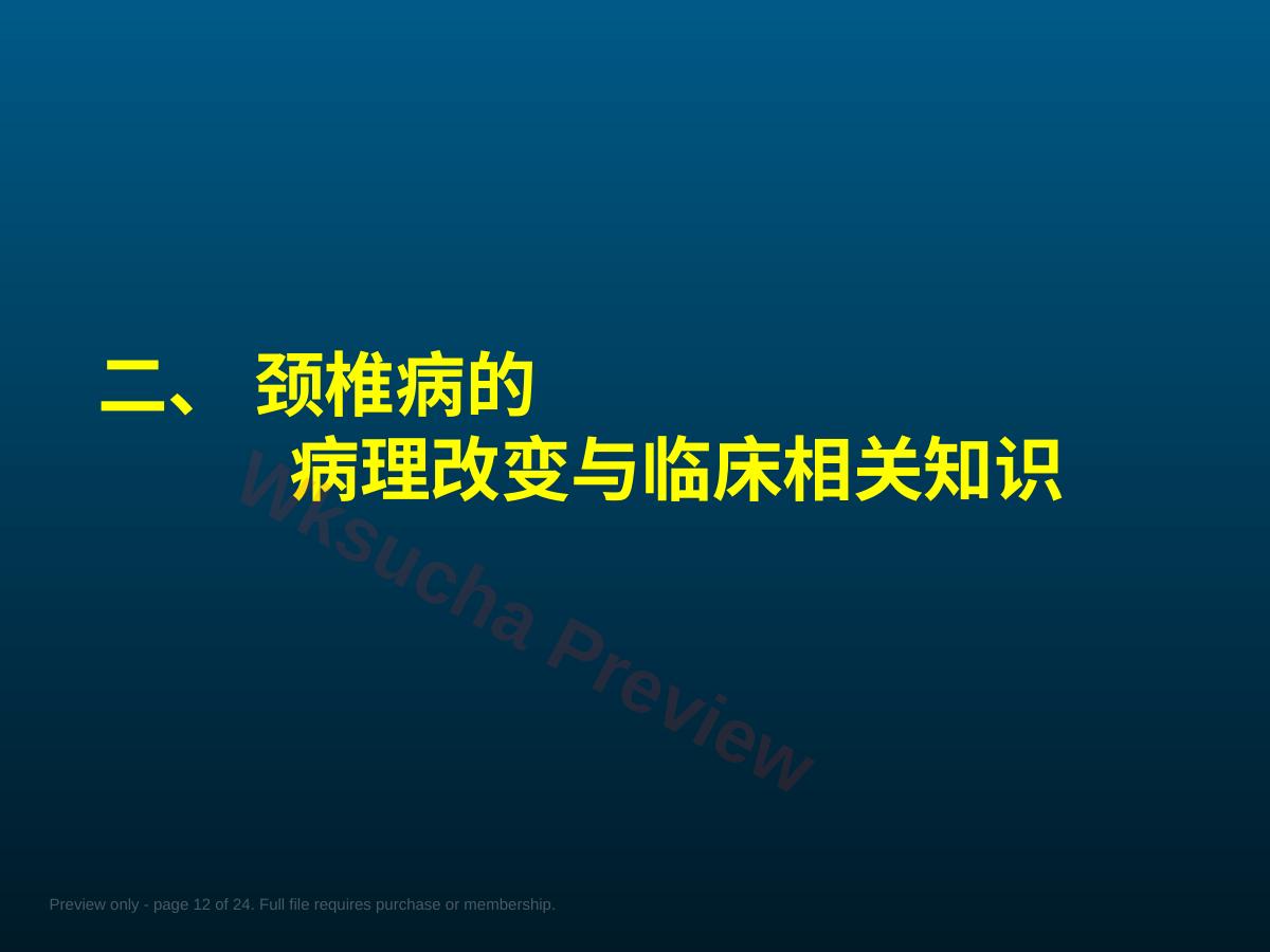预览第 12 页