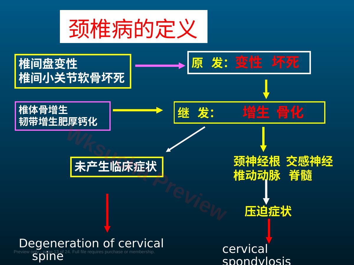 预览第 13 页