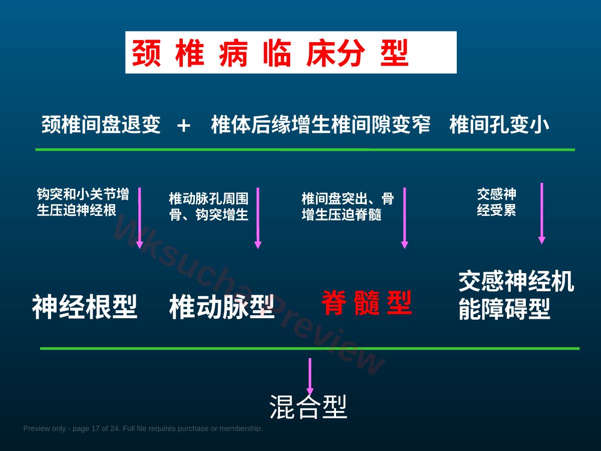 预览第 17 页