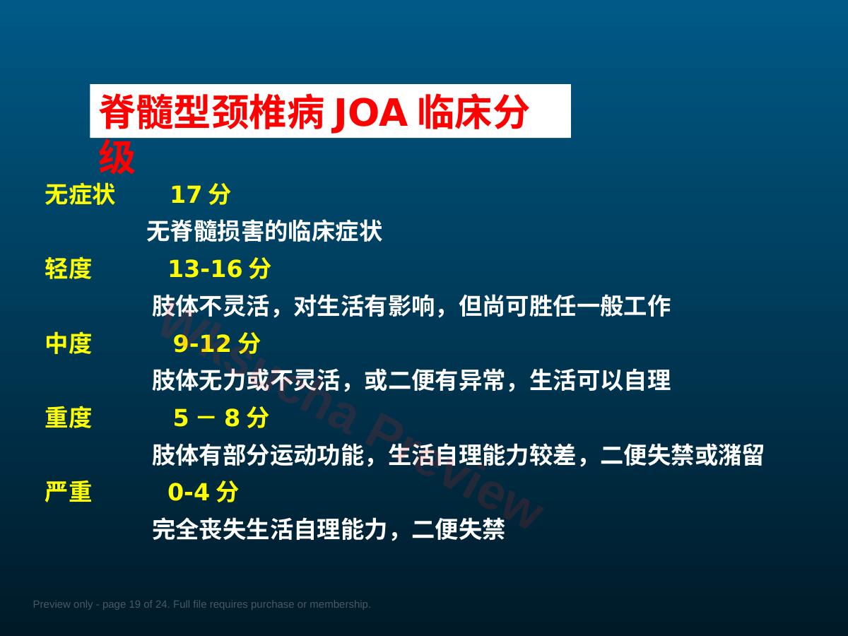 预览第 19 页