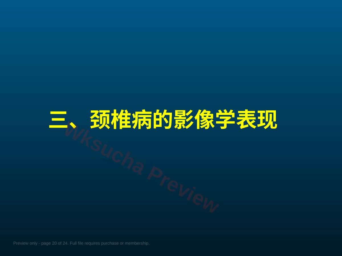预览第 20 页