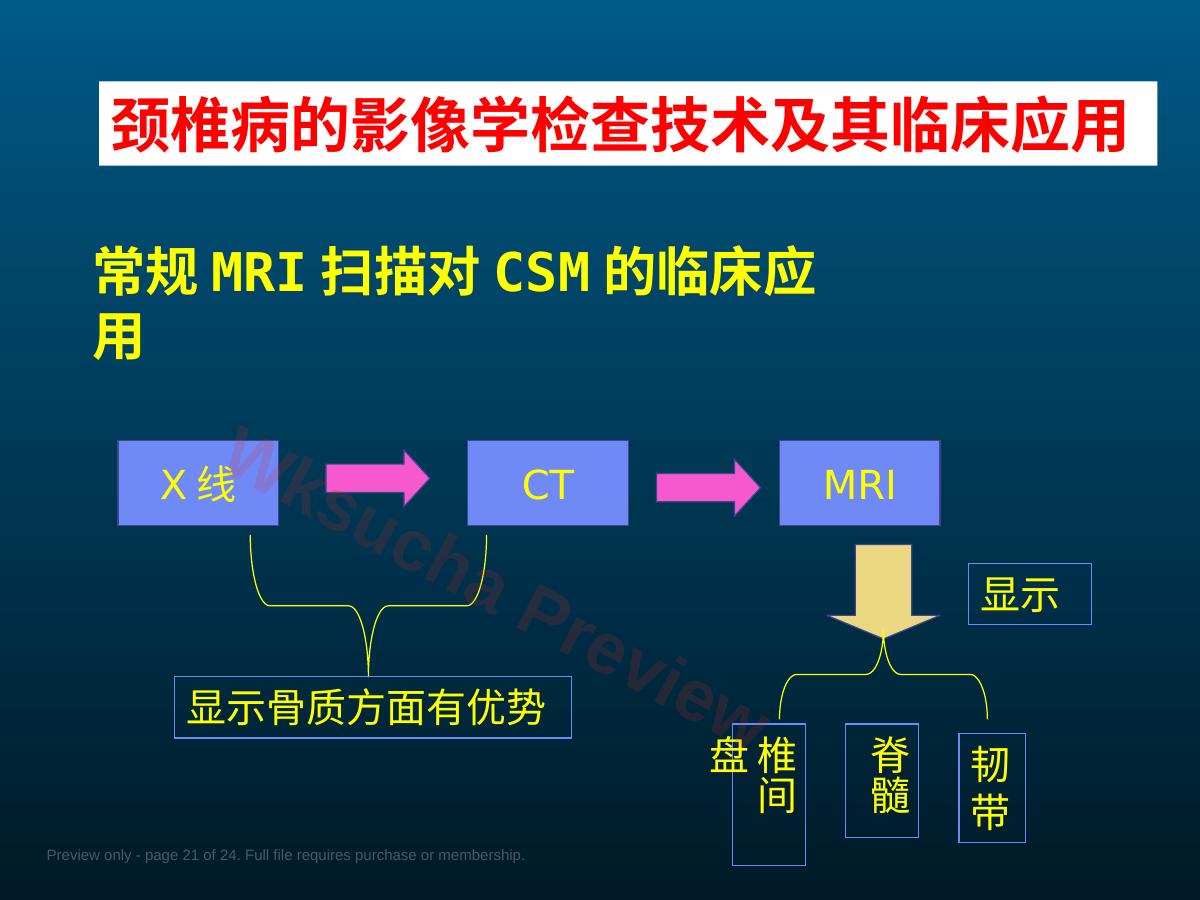 预览第 21 页