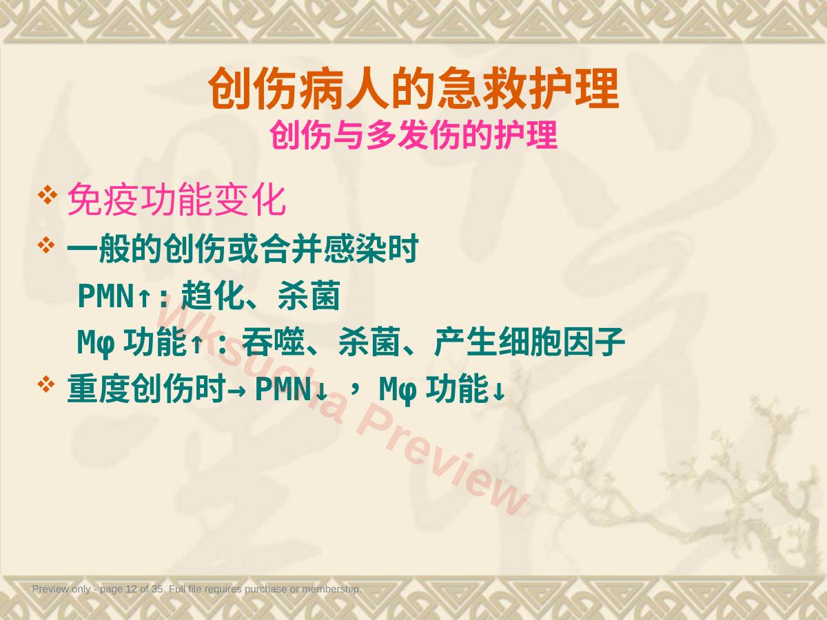 预览第 12 页