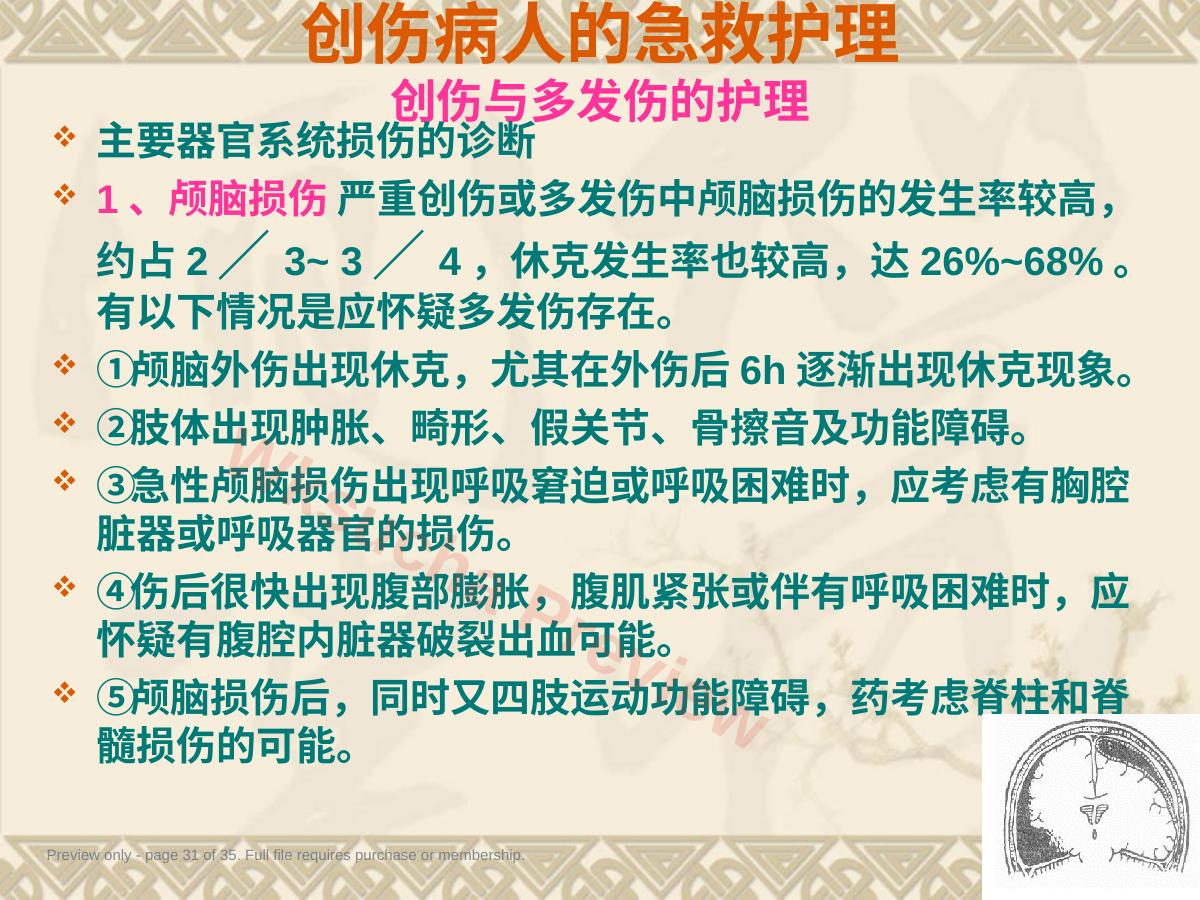 预览第 31 页