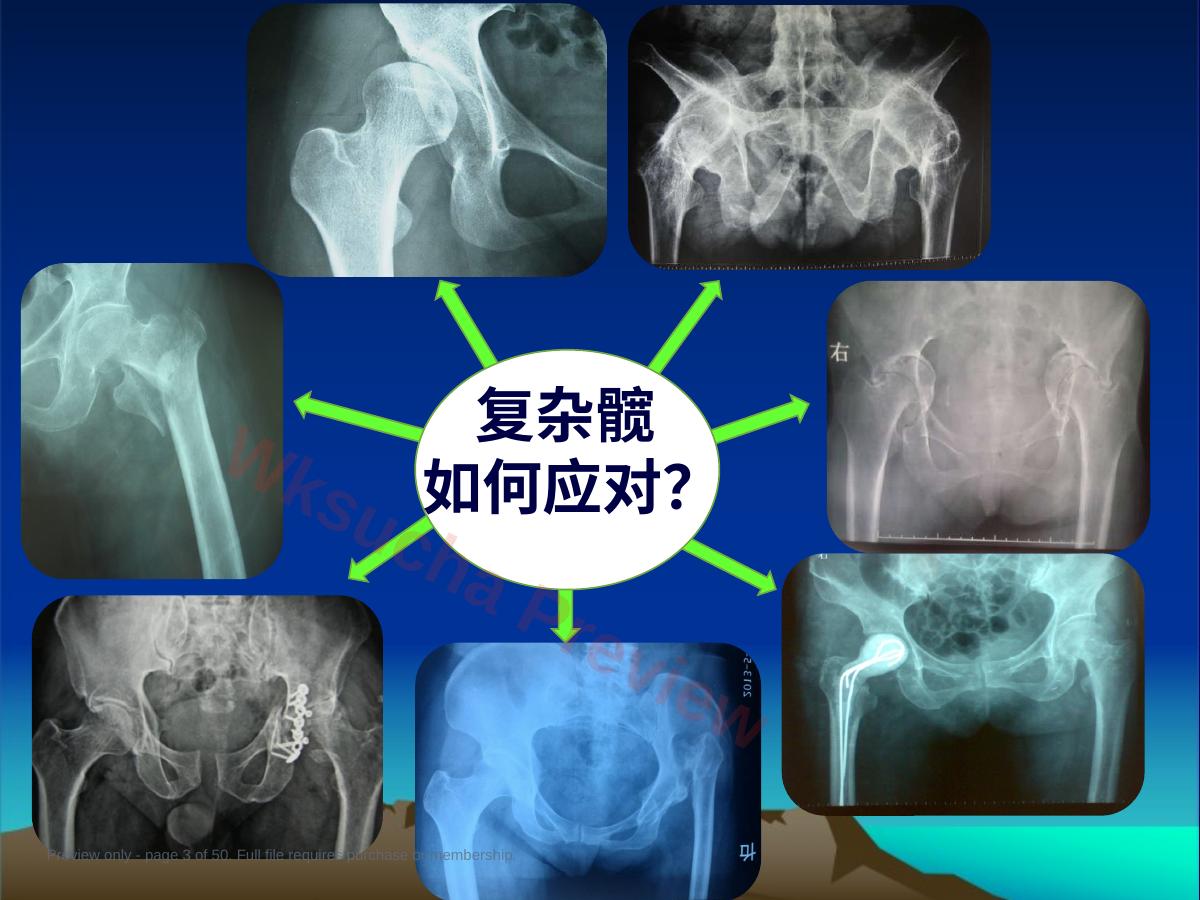 预览第 3 页