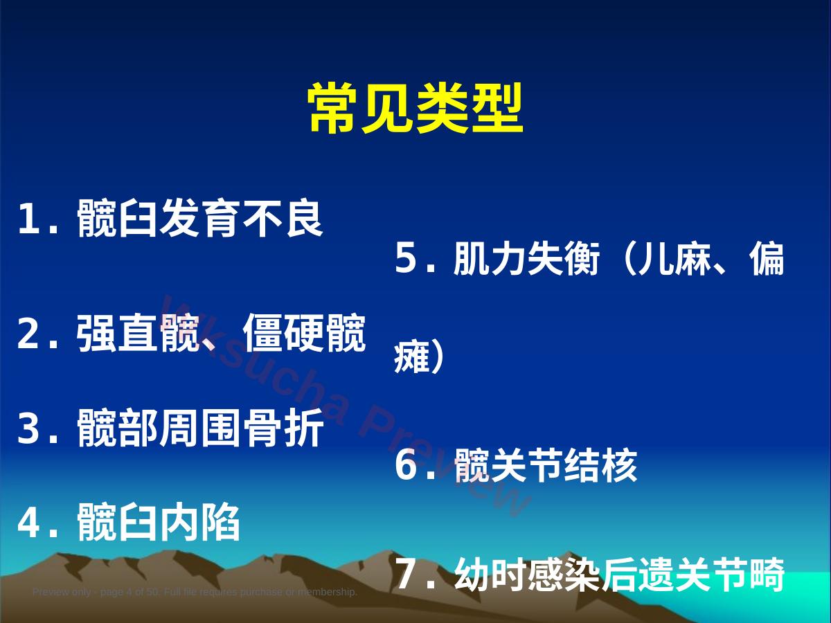 预览第 4 页