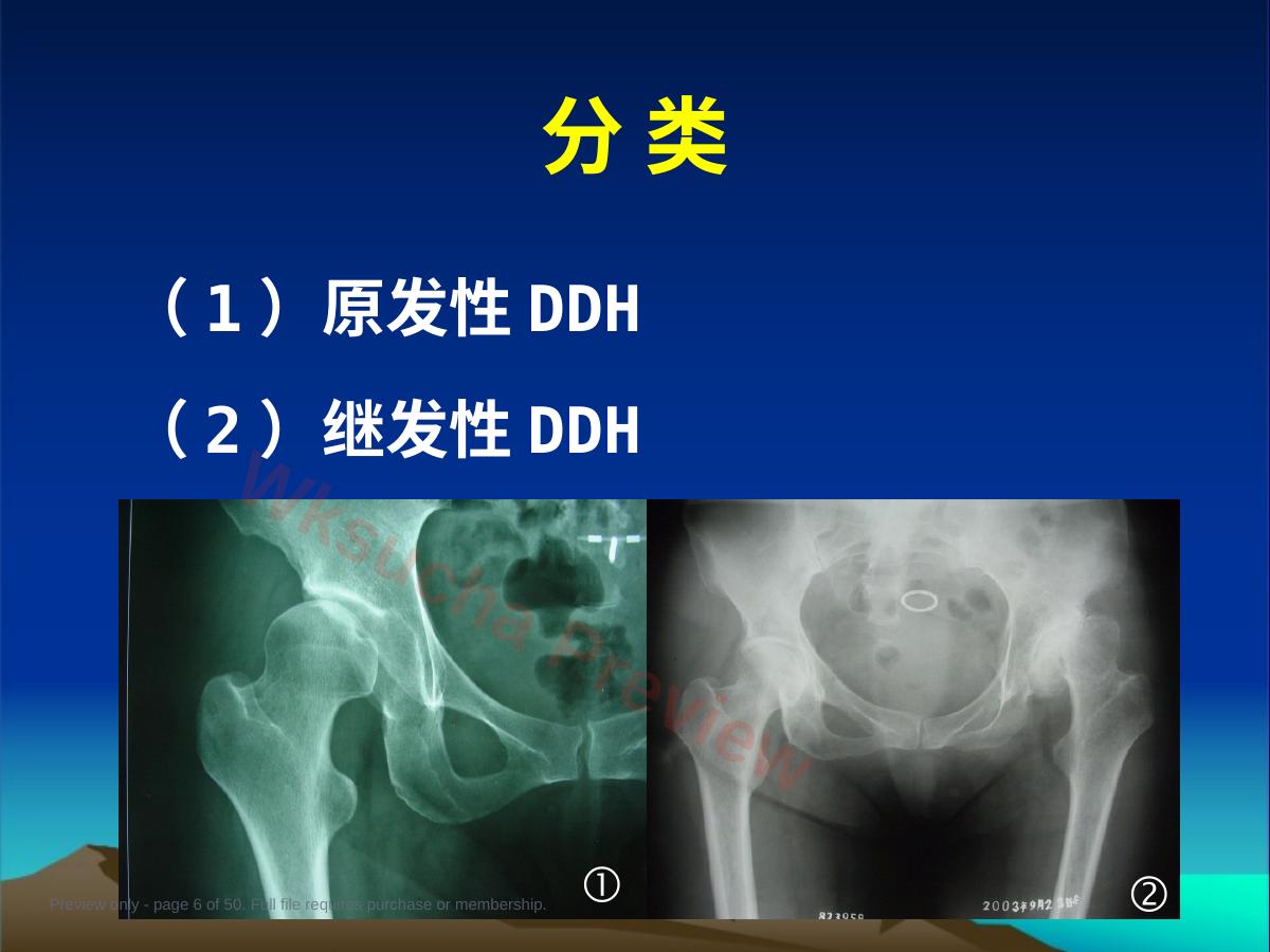 预览第 6 页
