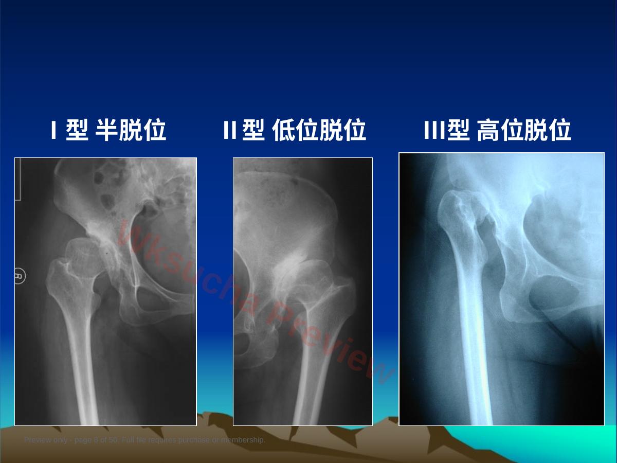 预览第 8 页