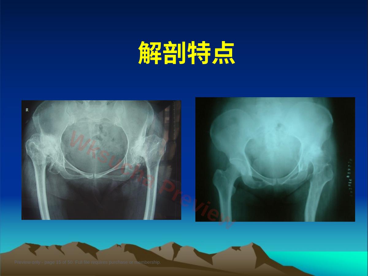 预览第 15 页
