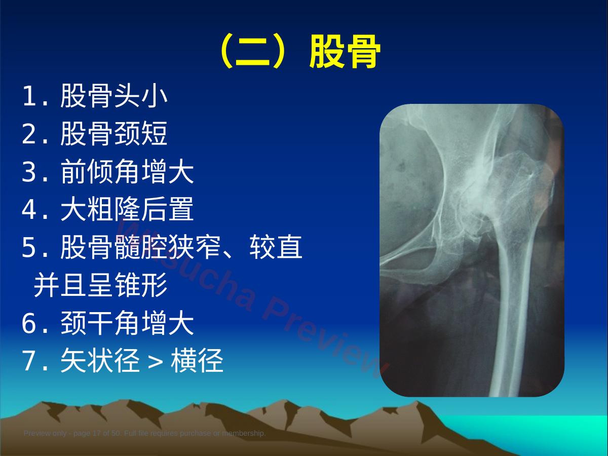 预览第 17 页