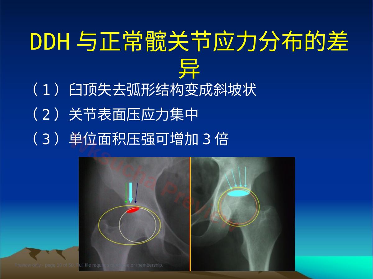 预览第 19 页