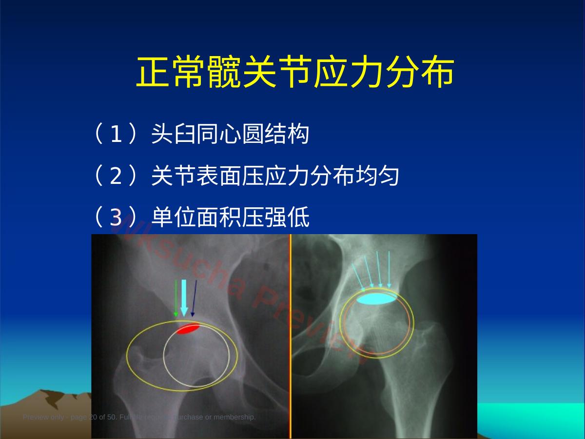 预览第 20 页