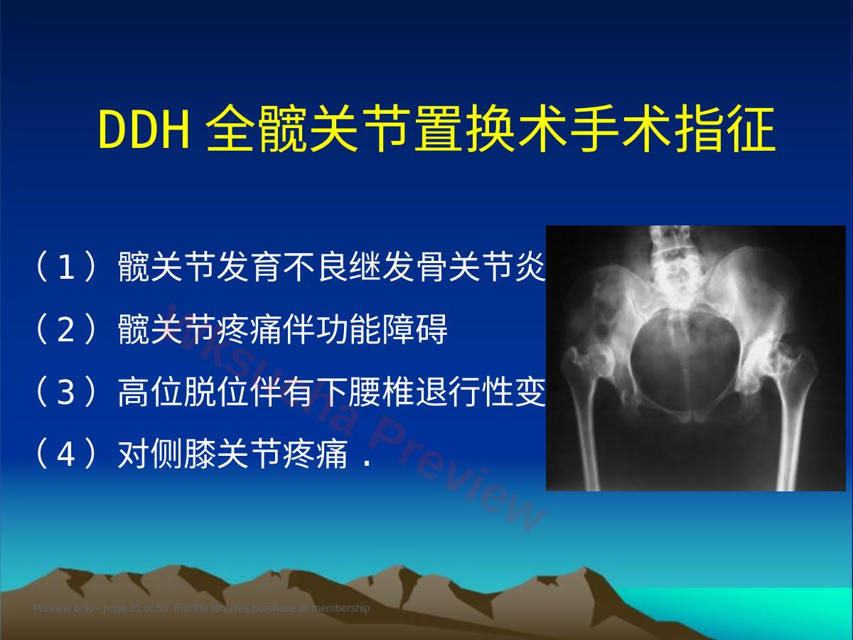 预览第 21 页