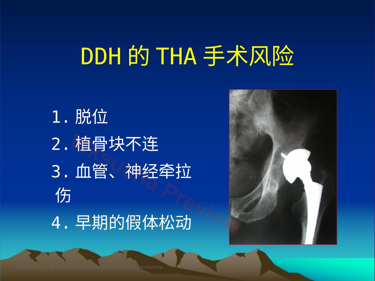 预览第 23 页