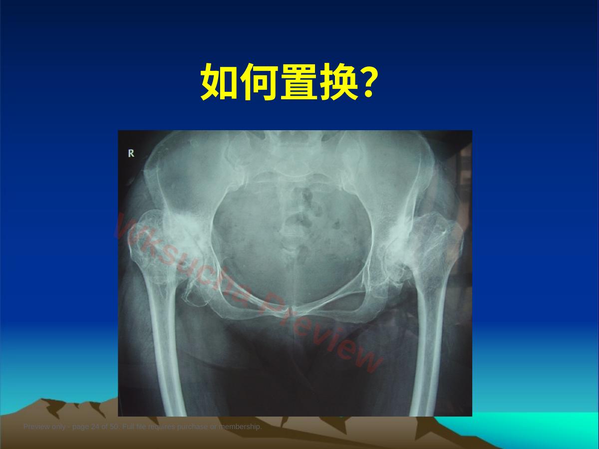 预览第 24 页