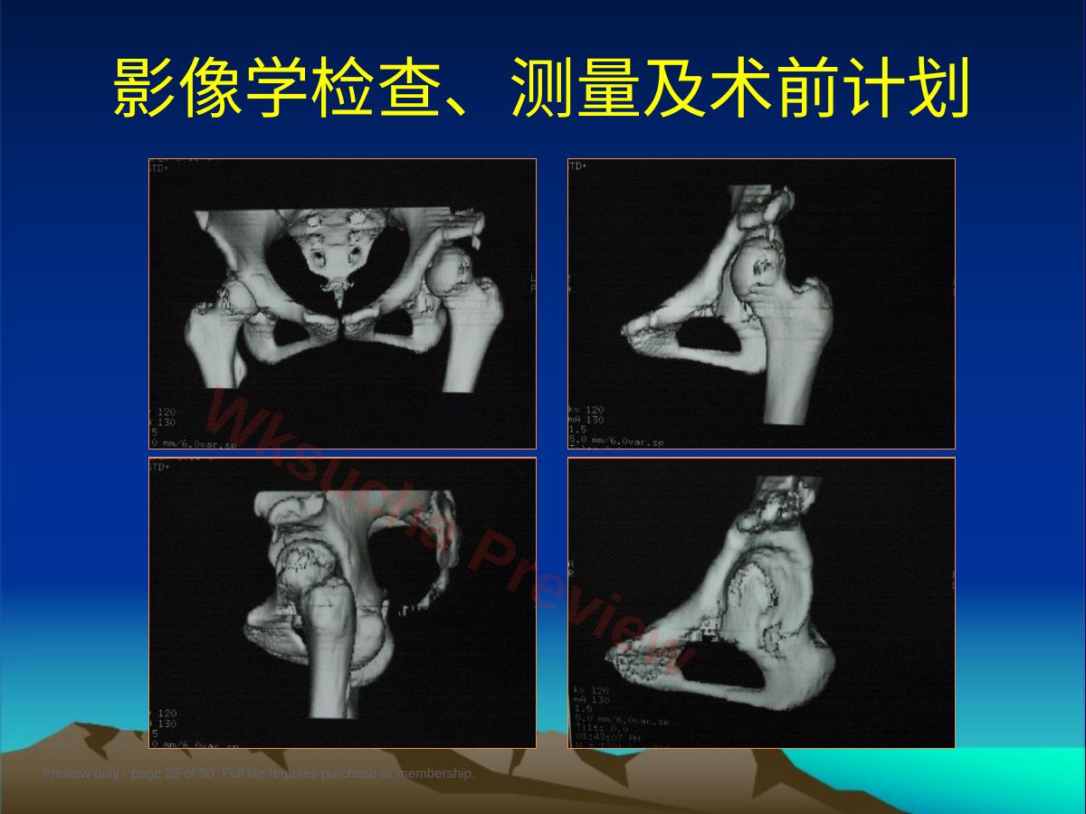 预览第 25 页