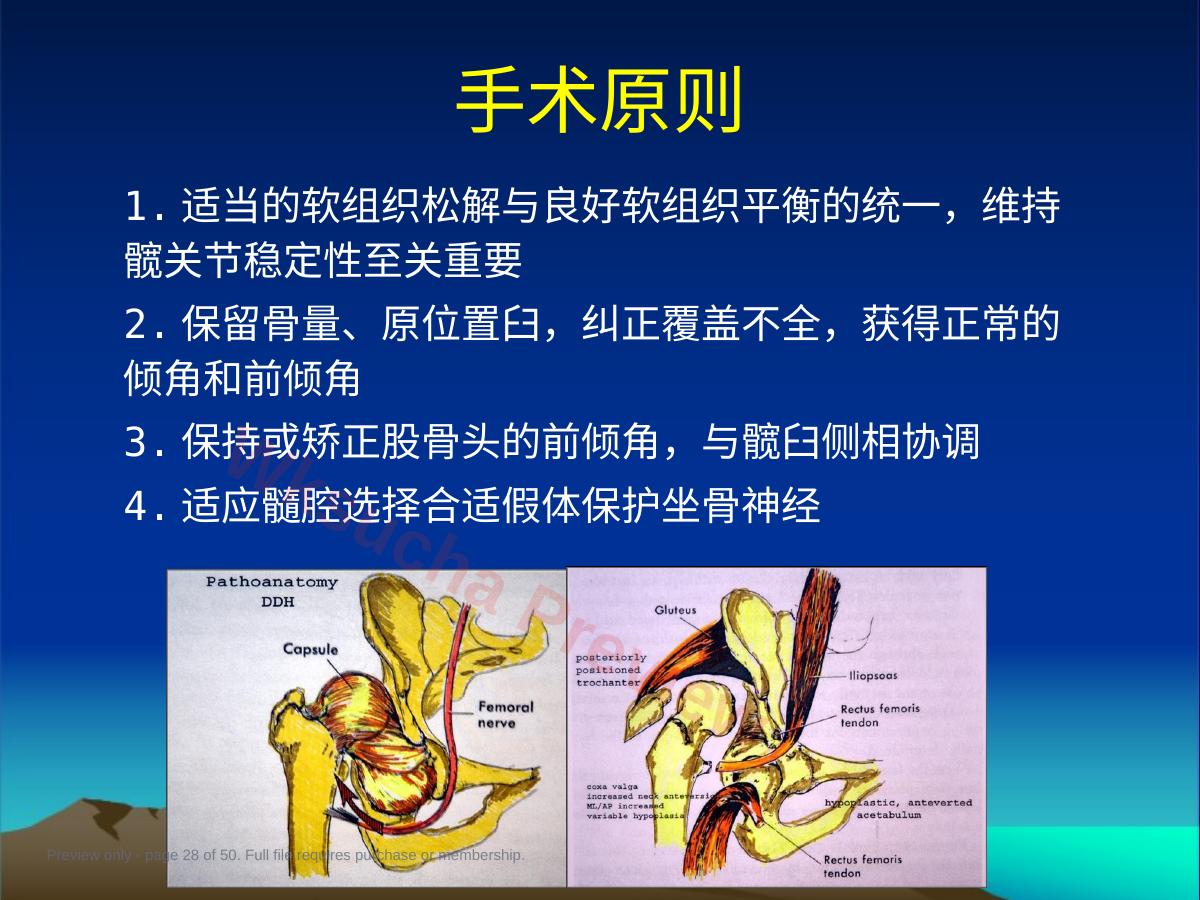 预览第 28 页