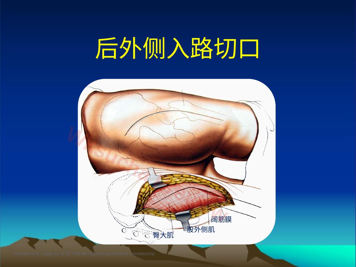 预览第 31 页