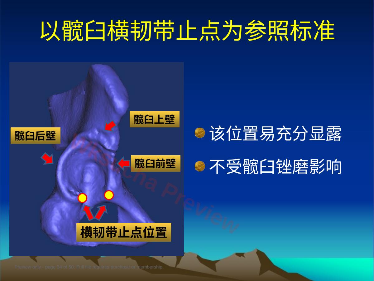预览第 34 页