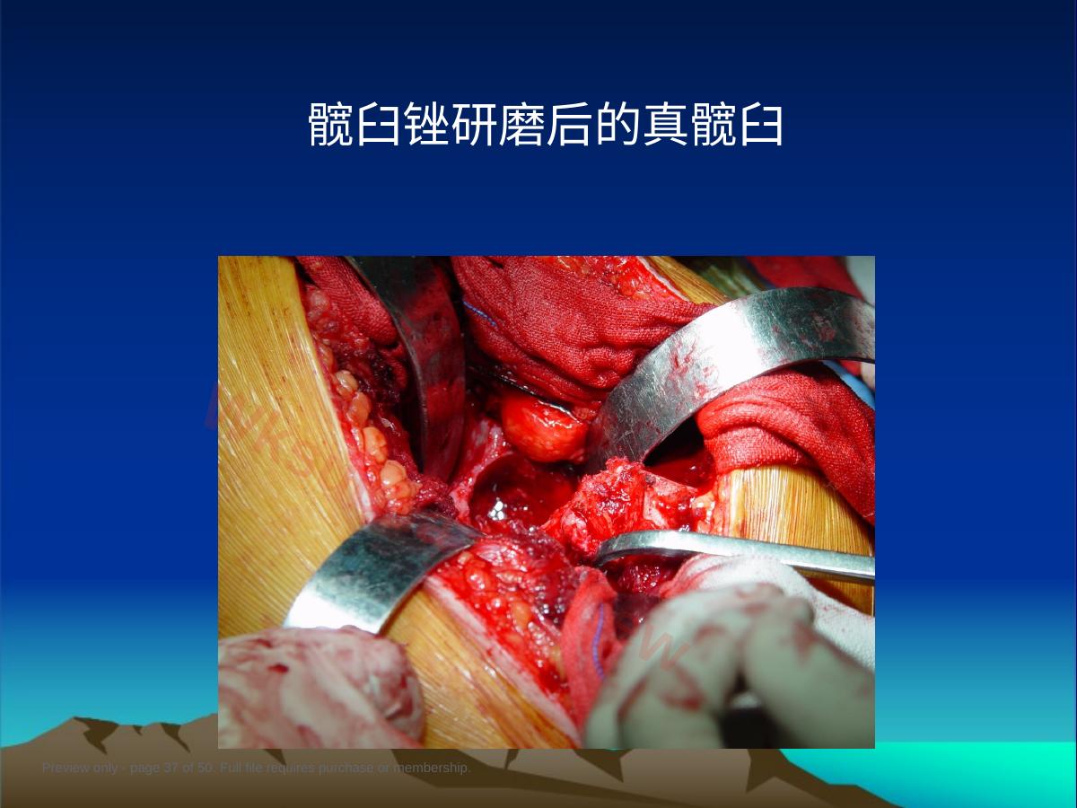 预览第 37 页