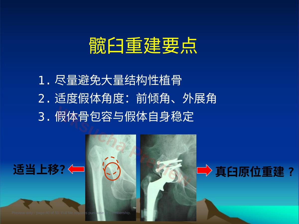 预览第 40 页