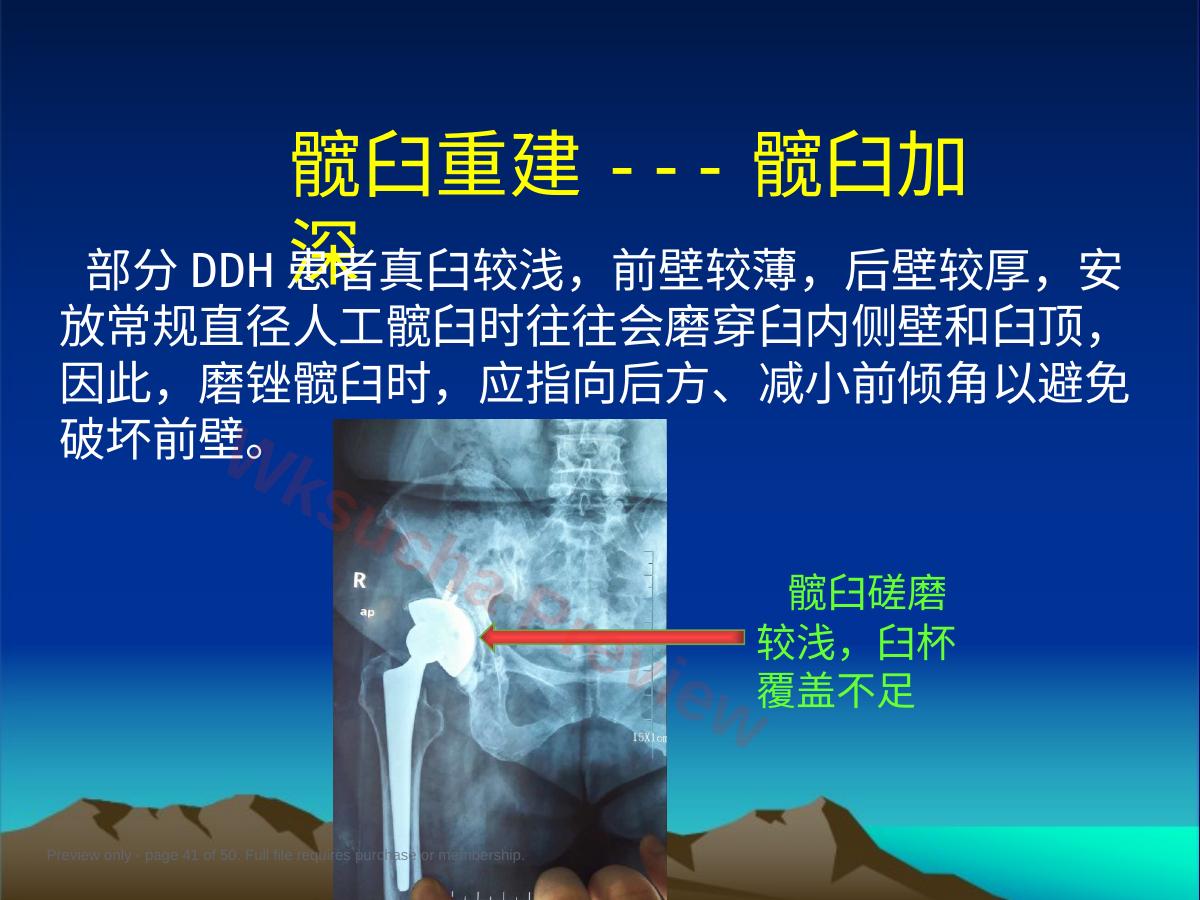 预览第 41 页