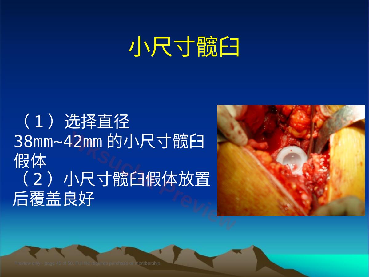 预览第 45 页