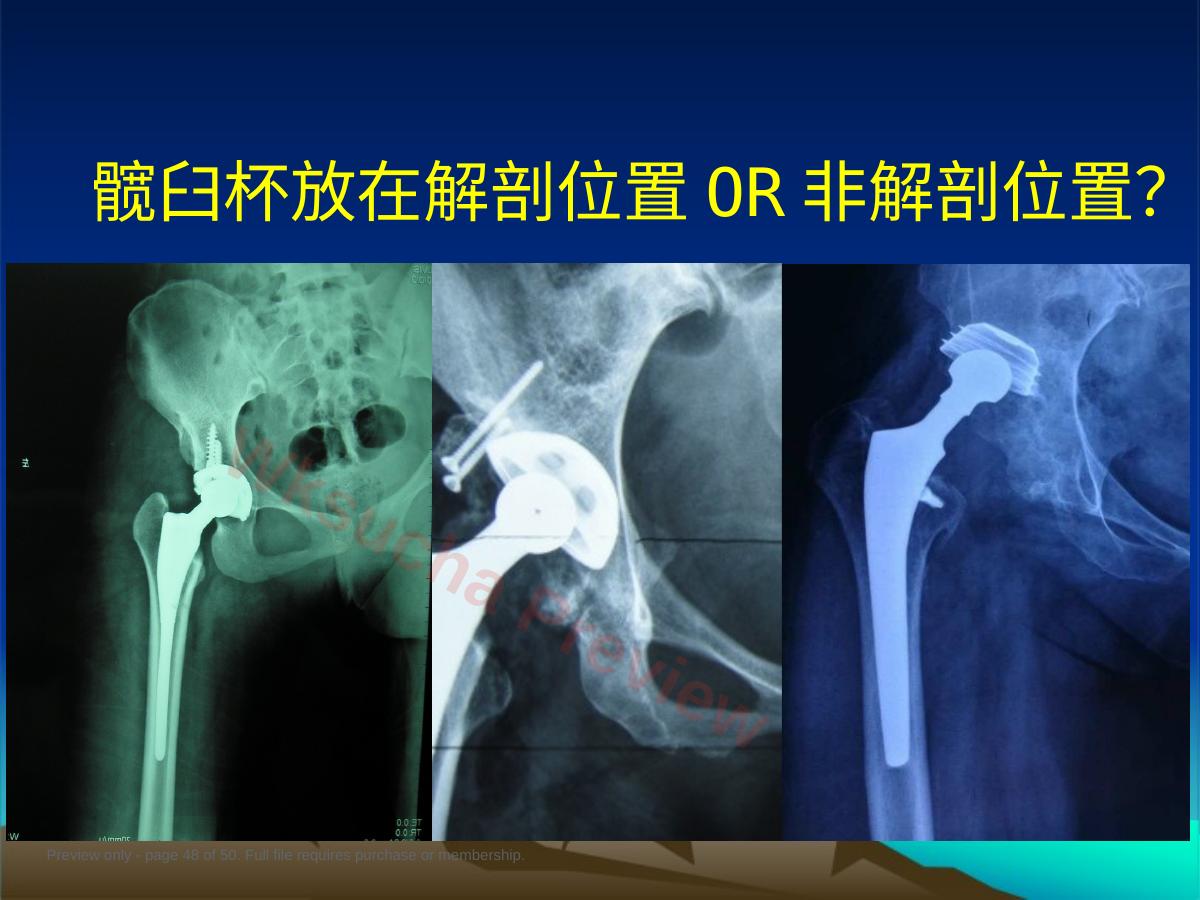 预览第 48 页