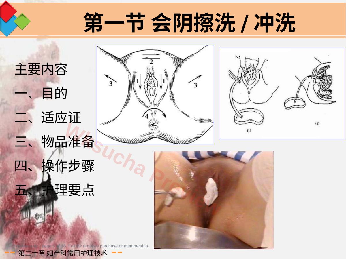 预览第 5 页