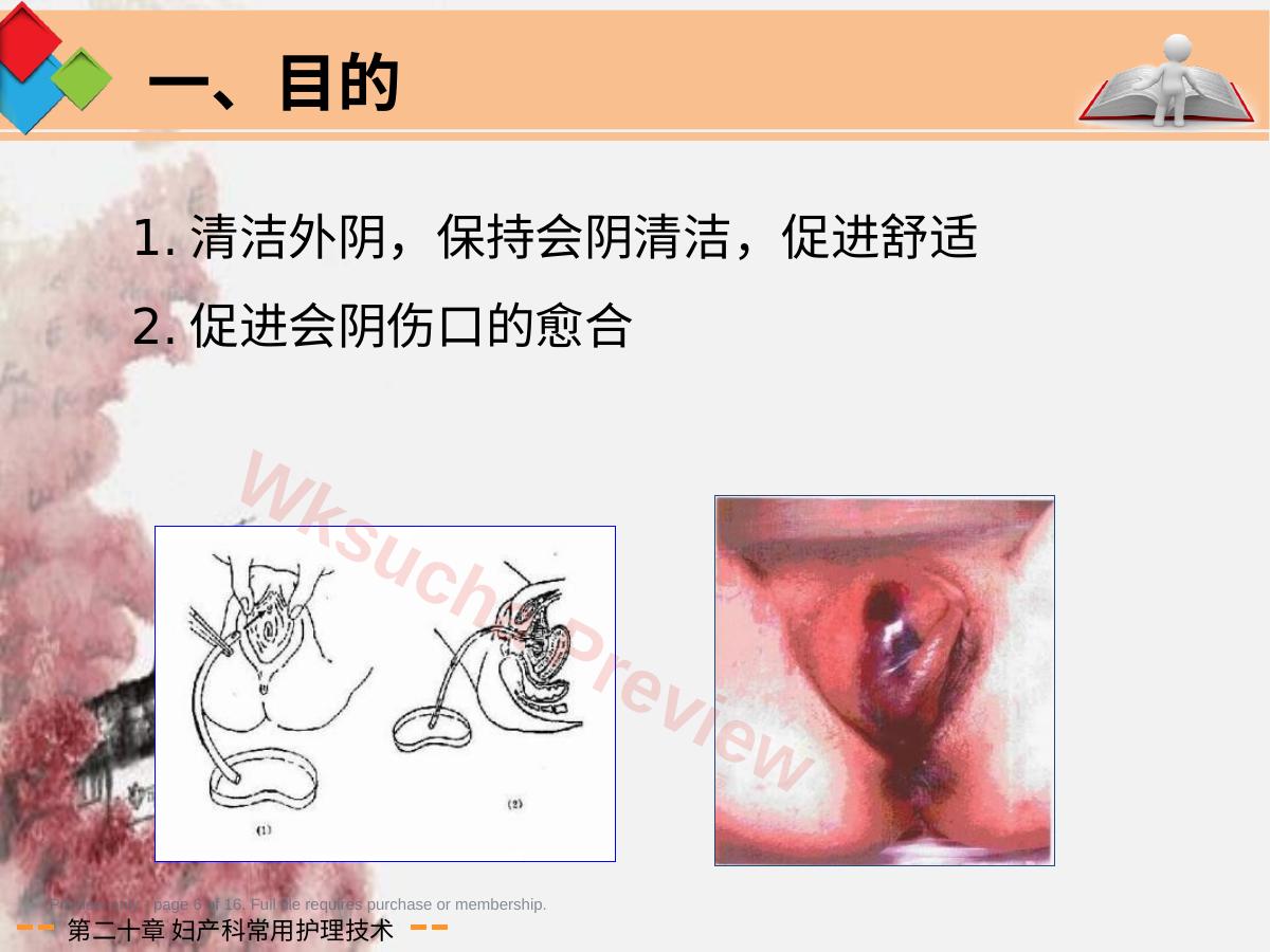 预览第 6 页