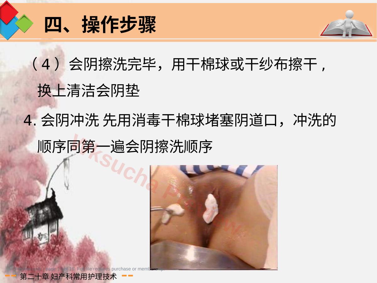 预览第 10 页
